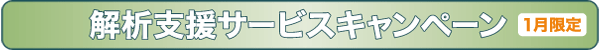 解析支援サービスキャンペーン　（１月限定）