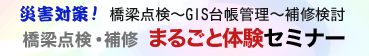 災害対策!橋梁点検~GIS台帳管理~補修検討 橋梁点検・補修まるごと体験セミナー
