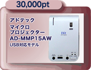 30,000pt マイクロ・プロジェクタ