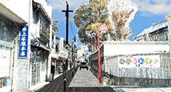 画像をクリックすると大きな画像が表示されます。