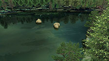 Click the image for a larger picture.