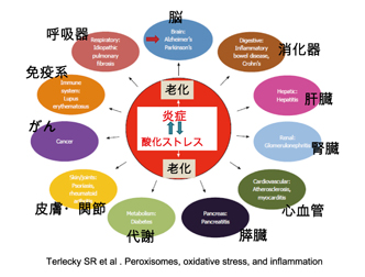画像をクリックすると大きな画像が表示されます。