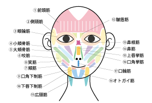 画像をクリックすると大きな画像が表示されます。