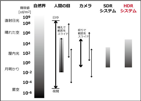 画像をクリックすると大きな画像が表示されます。