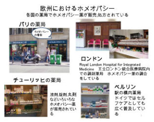 画像をクリックすると大きな画像が表示されます。