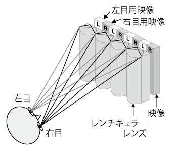 画像をクリックすると大きな画像が表示されます。