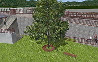 画像をクリックすると大きな画像が表示されます。