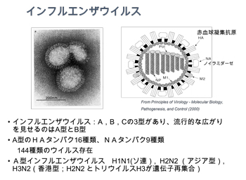 画像をクリックすると大きな画像が表示されます。