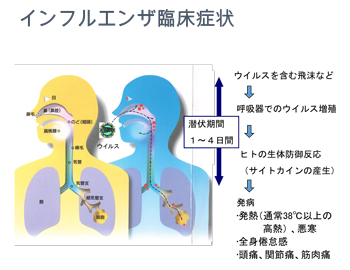 画像をクリックすると大きな画像が表示されます。