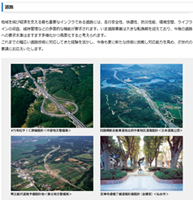点击图片可放大。